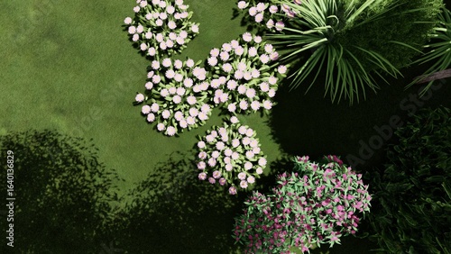 3d image of the landscape design of the home territory. Landscaping of the territory. Computer visualization of composite landscaping and landscaping solutions.