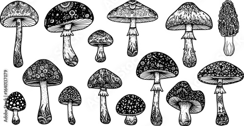 mushrooms silhouette monochrome with patterns illustration set. Trendy mushroom creative fabulous mystic folklore collection