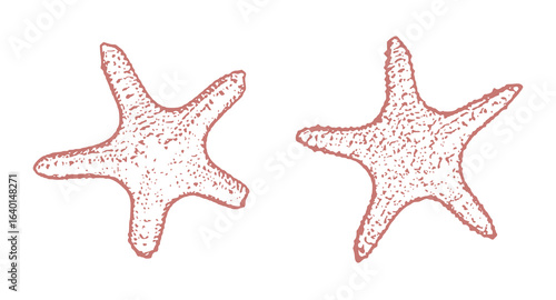 Minimalist Line Art Illustration of Sea Stars