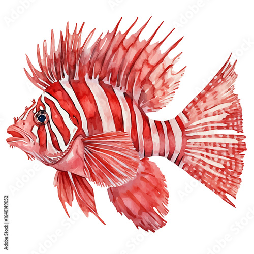 Lionfish, watercolor clipart vector, isolated on a white background.