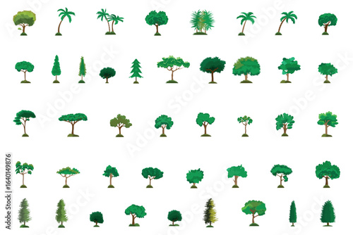 set of different types of trees