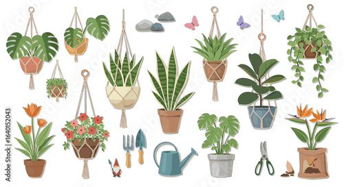 Various indoor potted plants and gardening tools in decorative setup