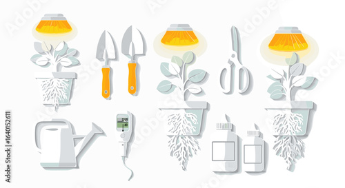 Assorted gardening tools and plant care equipment on white background
