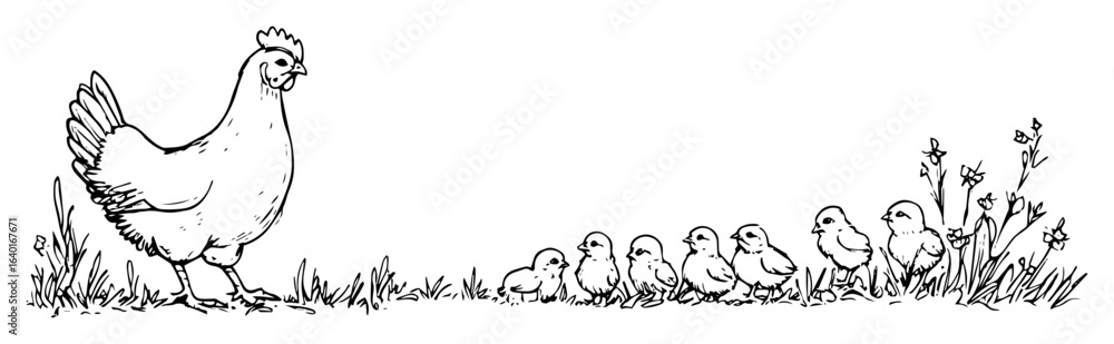 Fotografie hen with chicks – monochrome poultry family sketch