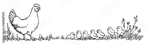 hen with chicks – monochrome poultry family sketch