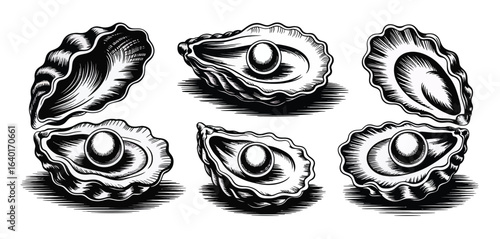 Vintage engraving style illustration of fresh oysters