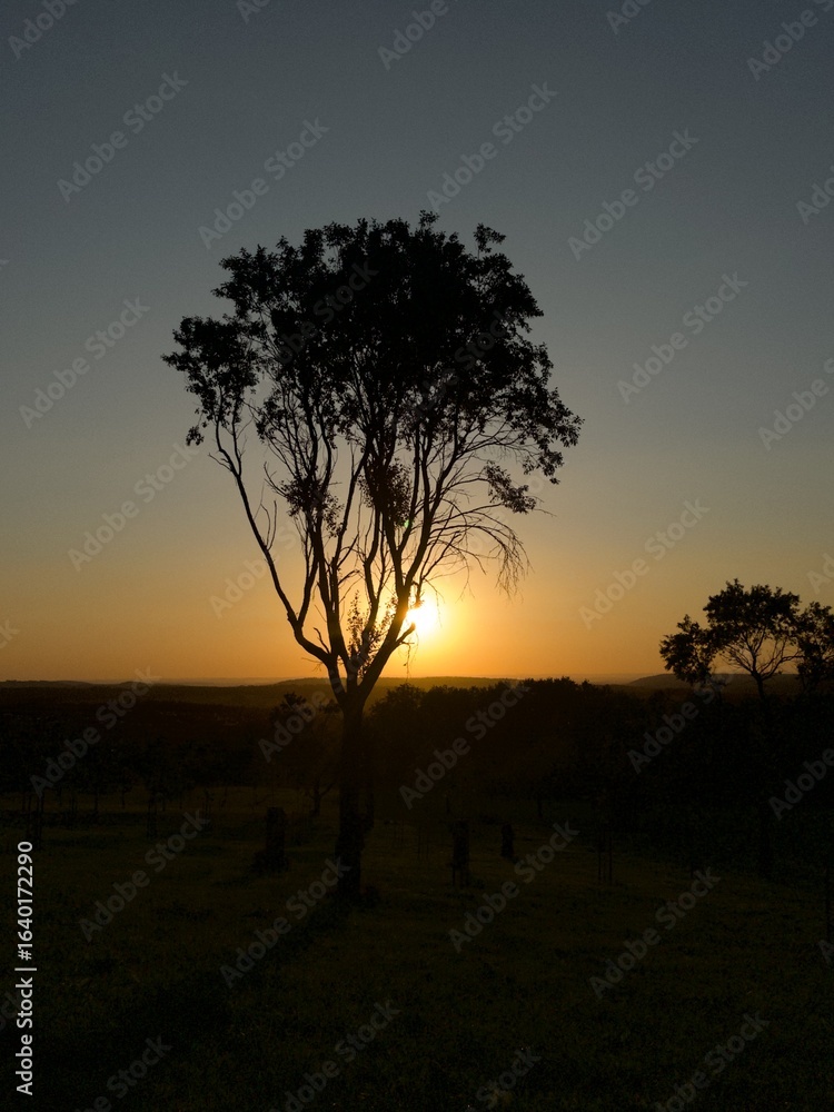 Fototapeta premium Sunset