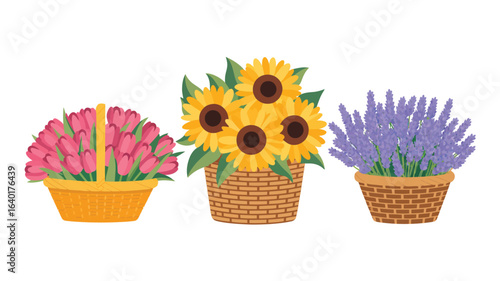Three baskets of beautiful flowers tulips sunflowers and lavender