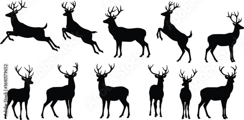 Photography Black silhouette set of deer and stag in various poses, jumping and standing, is