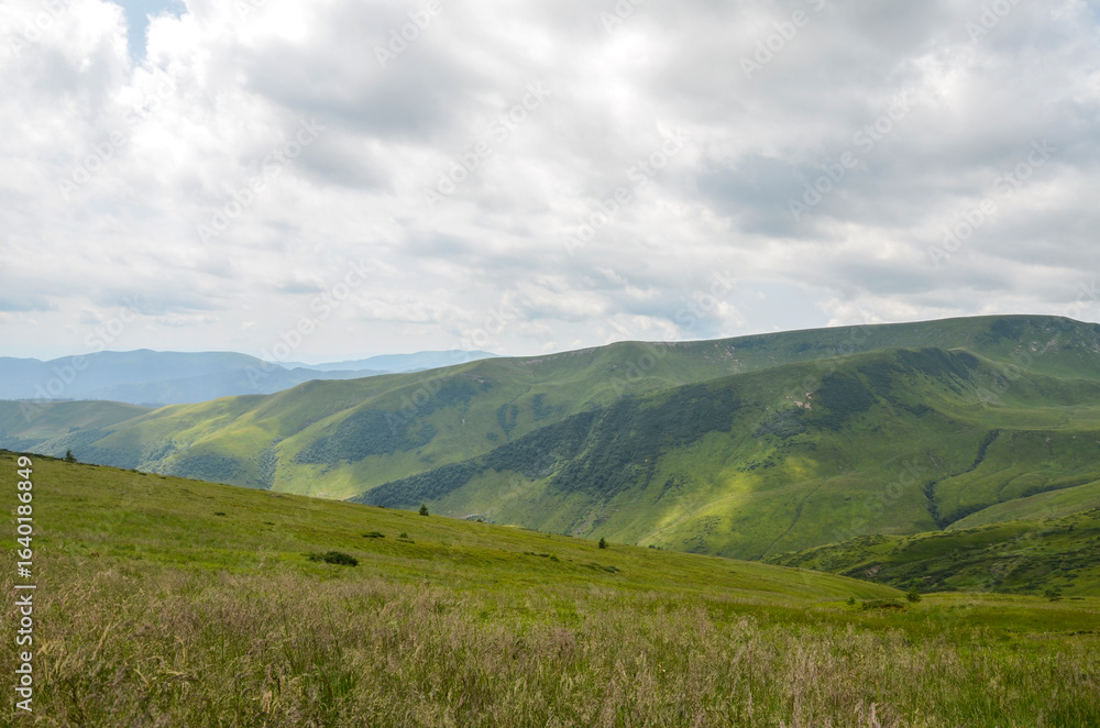 Obraz premium Lush green hills stretching into the distance under a dramatic sky filled with clouds, capturing the serene beauty of nature in its purest form. Svydovets, Carpathian Mountains, Ukraine