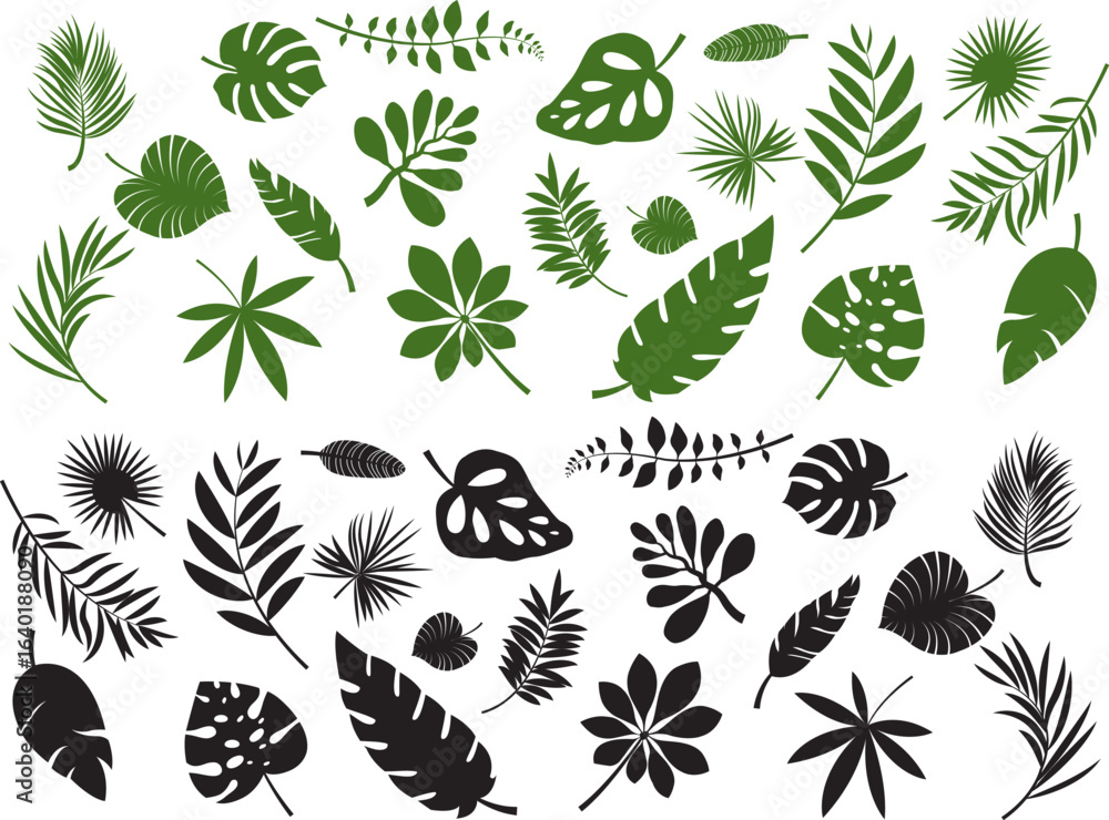 Obraz premium Set of Tropical Leaf Vector Illustrations | Exotic Jungle, Palm, and Botanical Design Collection