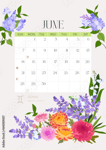Vertical page calendar for June 2026 with cute summer lavender and chrysanthemum, lilac flowers and leaves. Week starts on Sunday. Vector zodiac illustration flat cartoon style