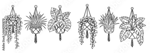 hanging house plants in macrame pots vector set