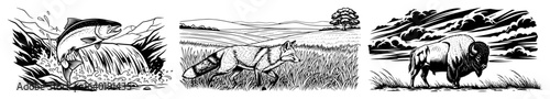 usa wildlife landscape banners salmon wolf bison vector