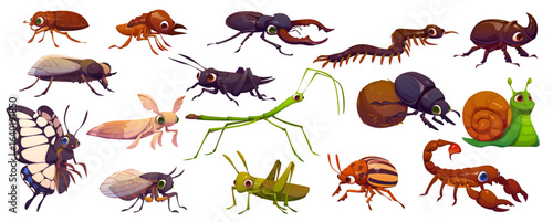 Cartoon funny insect and bug characters. Happy googly butterfly, snail, scorpion, grasshopper and cockroach insect vector personages. Cute cricket, stag, rhinoceros, dung and colorado potato beetles