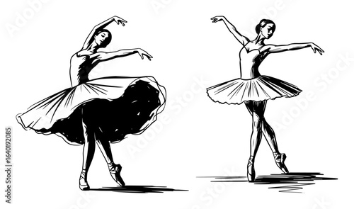 ballerina dancers pair elegant pose line illustration