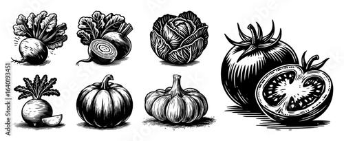 mixed vegetables hand drawn illustration set