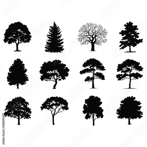 Tree Silhouettes