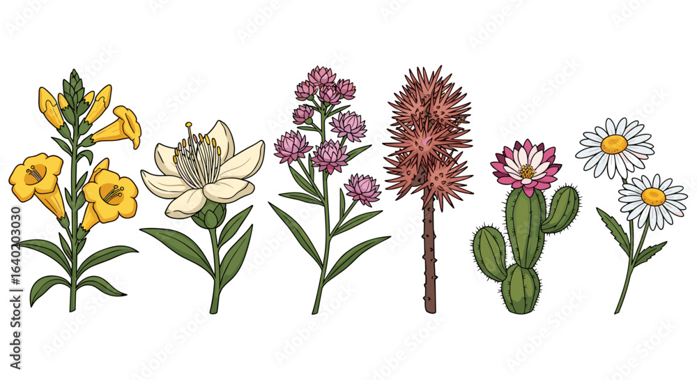 Obraz premium Botanical Illustration: Diverse Floral and Desert Plants on White Background