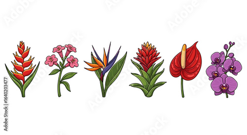 Tropical blooms: a vibrant array of exotic flowers in clean illustration.