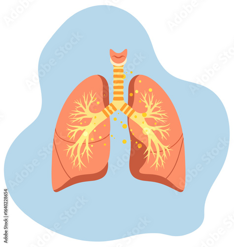Human lungs with a respiratory disease or infection