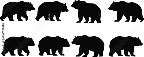 A set of 8 black bear silhouette illustrations in various walking and standing poses, perfect for nature, wildlife, outdoor, and wilderness designs.
