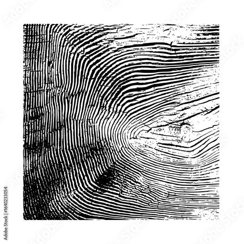 Monochrome illustration of a cross section of a tree trunk with visible growth rings and texture