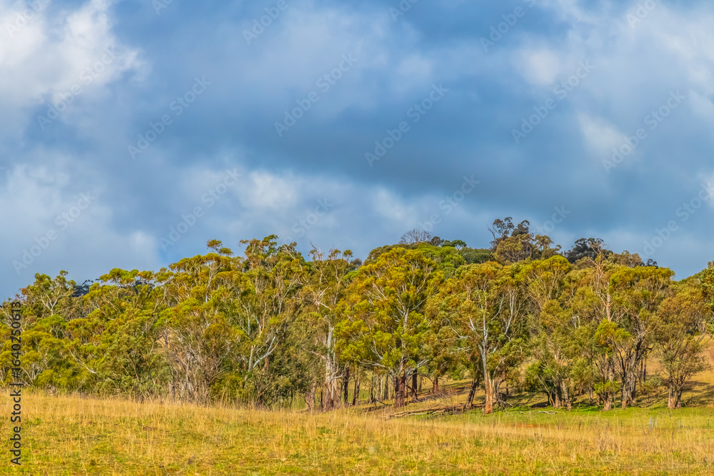 Fototapeta premium Winter landscape views around the Towac Valley near Orange