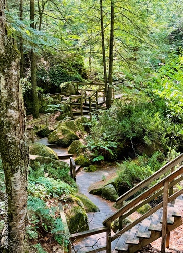 Amazing adventure at The Polar Caves in NH in mountains. Natural outdoor fun. Climb, crawl, twist, turn and walk through dark cold chilly caves with ice even in summer.  ladders, steps, bridges.  