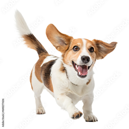 Joyful Dog in Mid-Air: Captured with high-definition detail, this image features a dynamic dog leaping playfully. The composition, angles, and lighting add depth to the scene.
