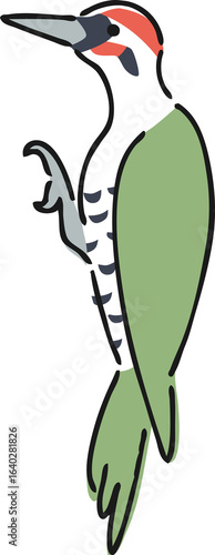 手描きのアオゲラのイラスト