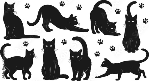 Cat Silhouettes Vector Illustration, perfect for Halloween, cat lovers. Features various cat poses, paw prints. Ideal for pet, animal, feline, domestic, house cat themes