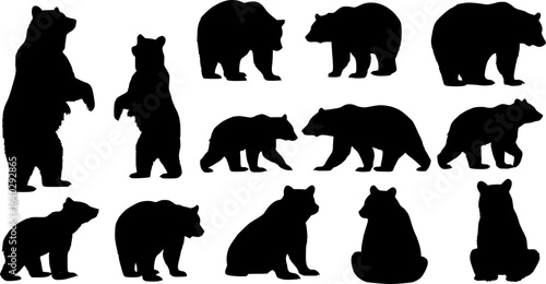 Bear silhouettes, bear in various poses, standing, walking, sitting, perfect for wildlife, nature designs, outdoor themes, versatile, visually engaging