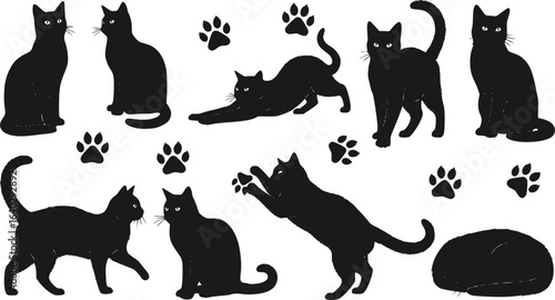 Cat Silhouettes Vector Illustration, perfect for Halloween, cat lovers. Features various cat poses, paw prints. Ideal for pet, animal, feline, domestic, house cat themes