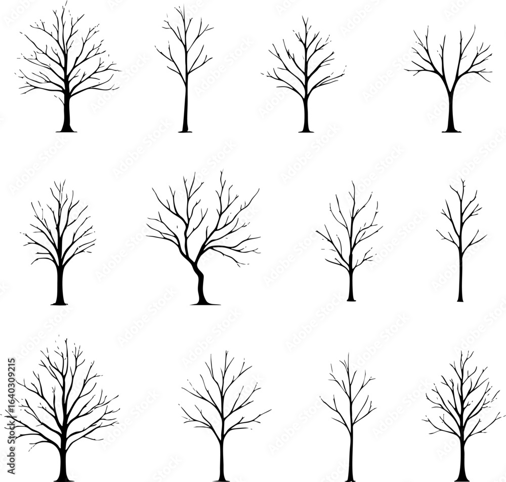 Obraz premium Set of Bare Winter Tree Silhouettes Isolated on White Background
