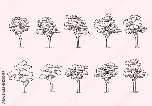 Set of trees element nature hand drawing symbol for architecture and landscape vector illustration. Isolated on white background.