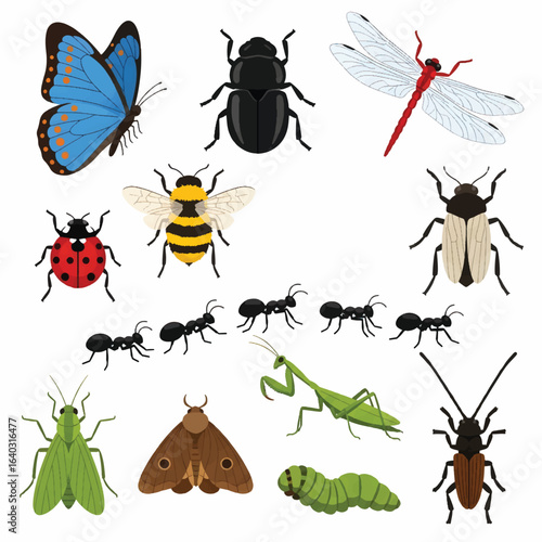 PrintColorful Flat Design Insect Illustration Various Type of Bugs Composition