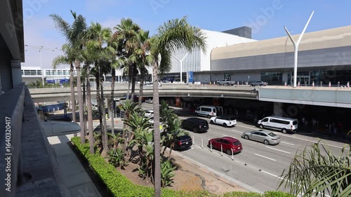 Palm Trees In The Sun At LAX