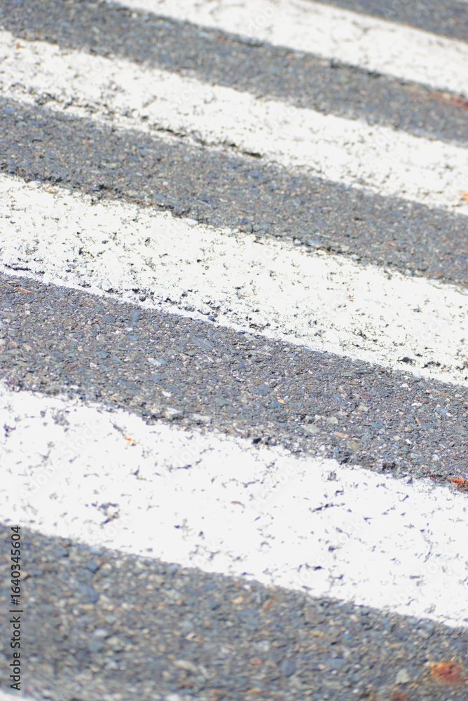 Fototapeta premium Lines painted on asphalt 