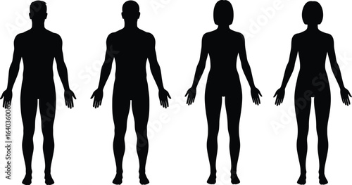 Silhouettes of male and female figures standing in front view, representing human anatomy, gender diversity, and character representation