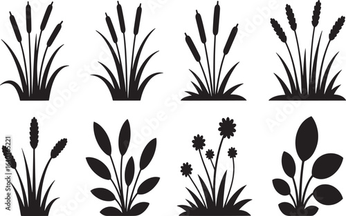Diverse Aquatic Plant Silhouettes A Collection of Cattails, Wheatgrass, and Leafy Varieties Displayed as Striking Black and White Illustrations