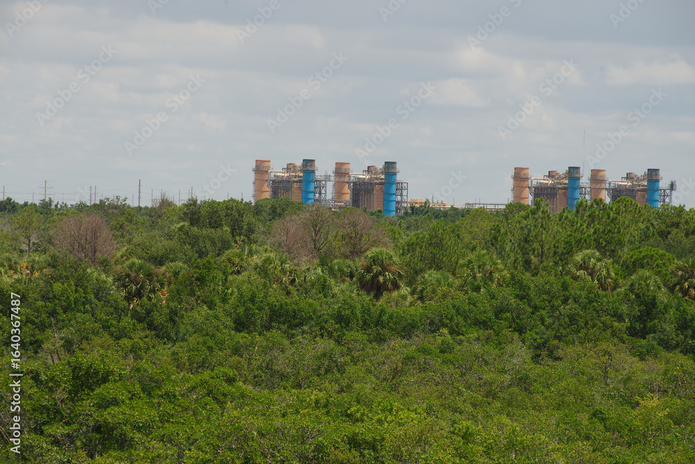 Fototapeta premium Industrial Factory Chimneys Behind Dense Green Forest Under a Blue Sky Weedon Island Power Plant St. Petersburg, FL. Large industrial facility with multiple blue chimneys is seen beyond a lush, expans
