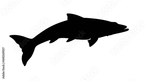 Silhouette of a dolphin swimming gracefully with its tail fin visible against a white background view