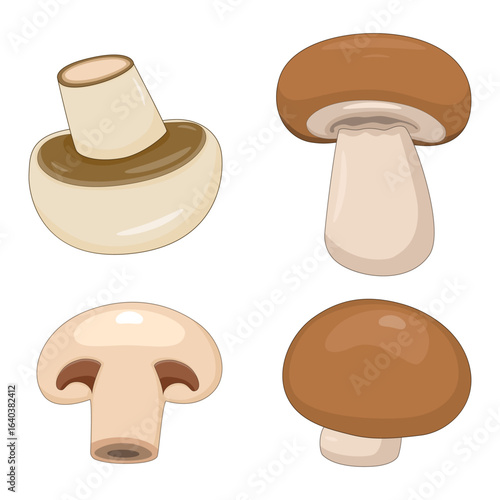 Set of edible mushroom illustrations, featuring whole and sliced champignon and brown cremini fungi.