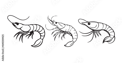 Shrimp vector icon, Vector art of a black and white silhouette of a shrimp isolated design, vector illustration eps 10.