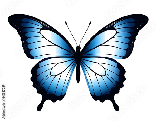 Graceful blue butterfly illustration showcasing delicate wings on white