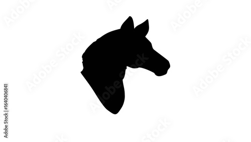 Silhouette of a horse head with pointed ears and a smooth mane against a white background image view