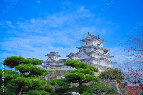 白鷺城 姫路城の雄姿