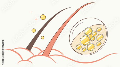 Hair follicle anatomy illustration for hair care and beauty product marketing and educational materials use