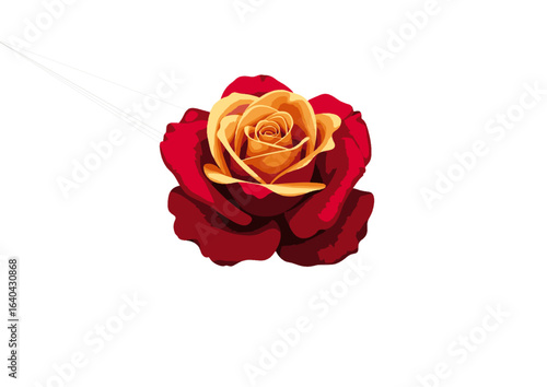 Vibrant illustration of a fiery red and yellow water lily flower in full bloom. A symbolic lotus drawing on a white background.